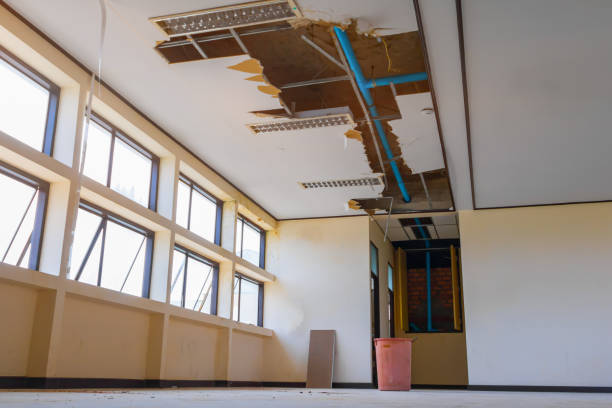 Best Carpet water damage restoration  in Hillandale, MD