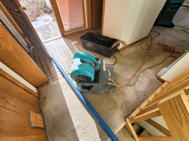 Best Sewage cleanup and water damage restoration  in Hillandale, MD