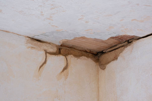  Hillandale, MD Water damage restoration Pros
