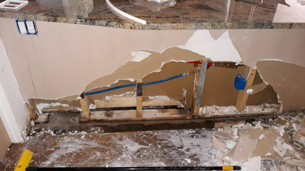 Best Emergency water damage restoration  in Hillandale, MD