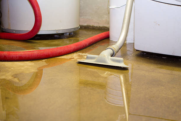 Best Ceiling water damage repair  in Hillandale, MD